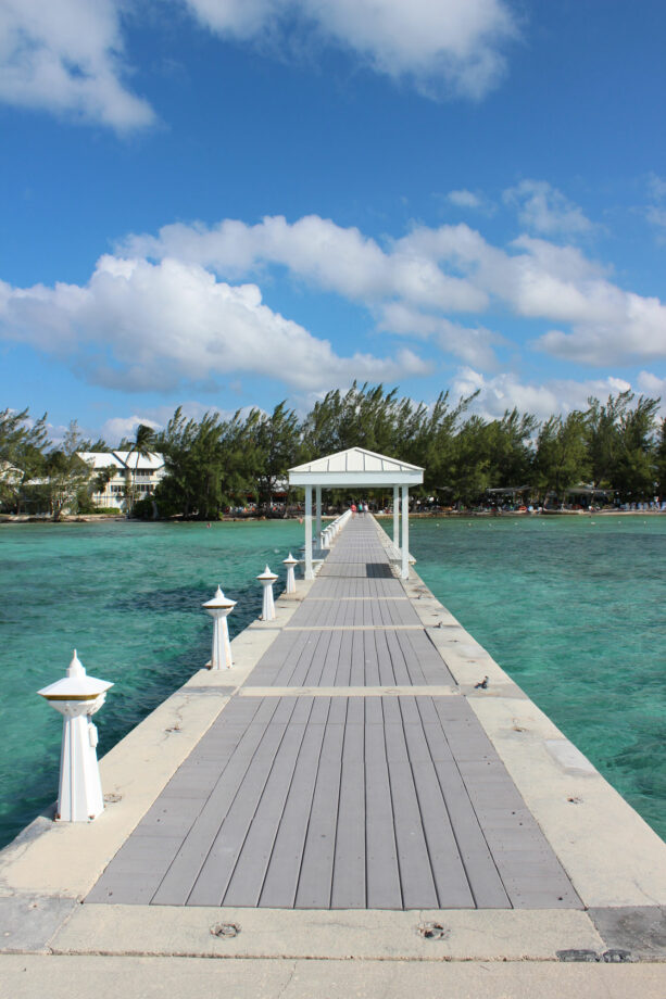 Cayman Islands Shore Life